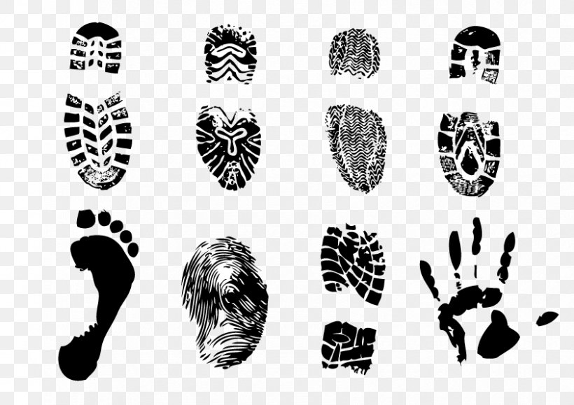 Footprint Euclidean Vector, PNG, 842x595px, Footprint, Black And White, Brand, Fingerprint, Foot Download Free