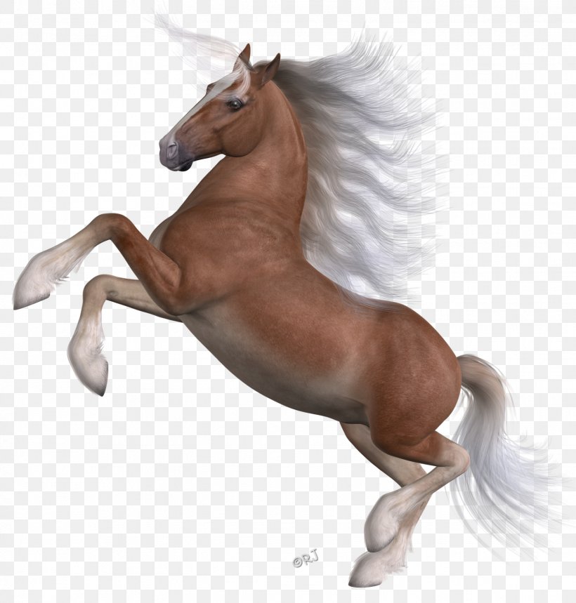 Mane Mustang Stallion Foal Colt, PNG, 1526x1600px, Mane, Animal Figure, Colt, Foal, Halter Download Free