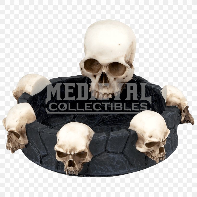 Skull, PNG, 857x857px, Skull, Bone, Snout Download Free