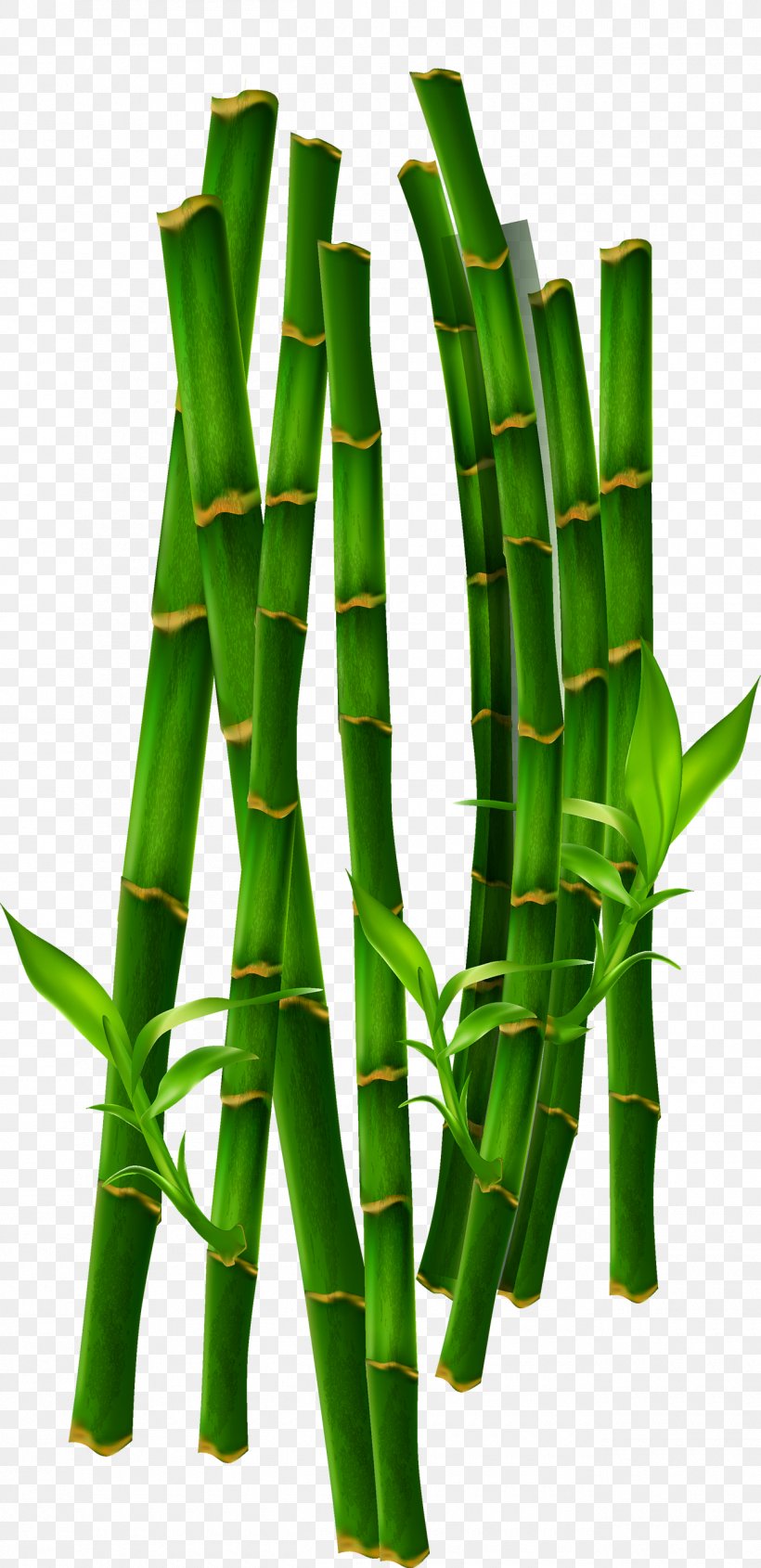 Bamboo Bamboe Computer File, PNG, 1300x2680px, Bamboo, Bamboe, Flowerpot, Grass, Grass Family Download Free