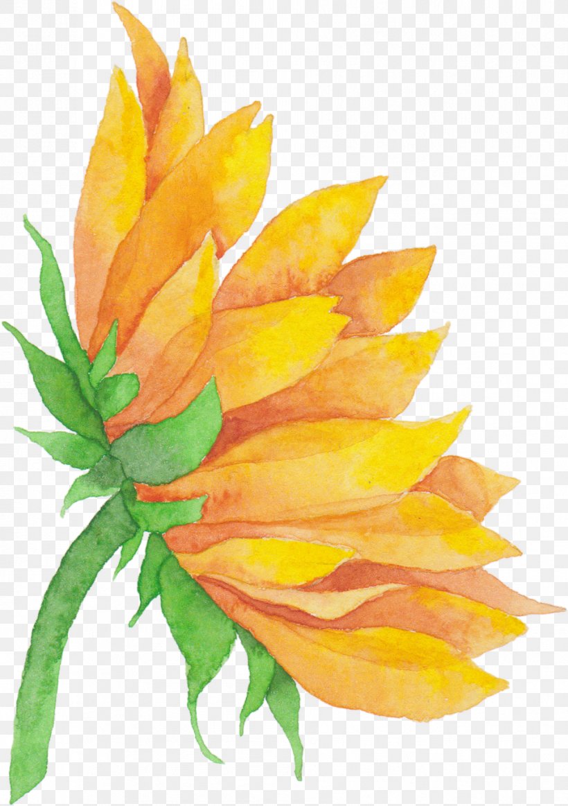 Common Sunflower Cut Flowers Sticker Sunflower M, PNG, 954x1354px, Common Sunflower, Cut Flowers, Emoji, Floristry, Flower Download Free