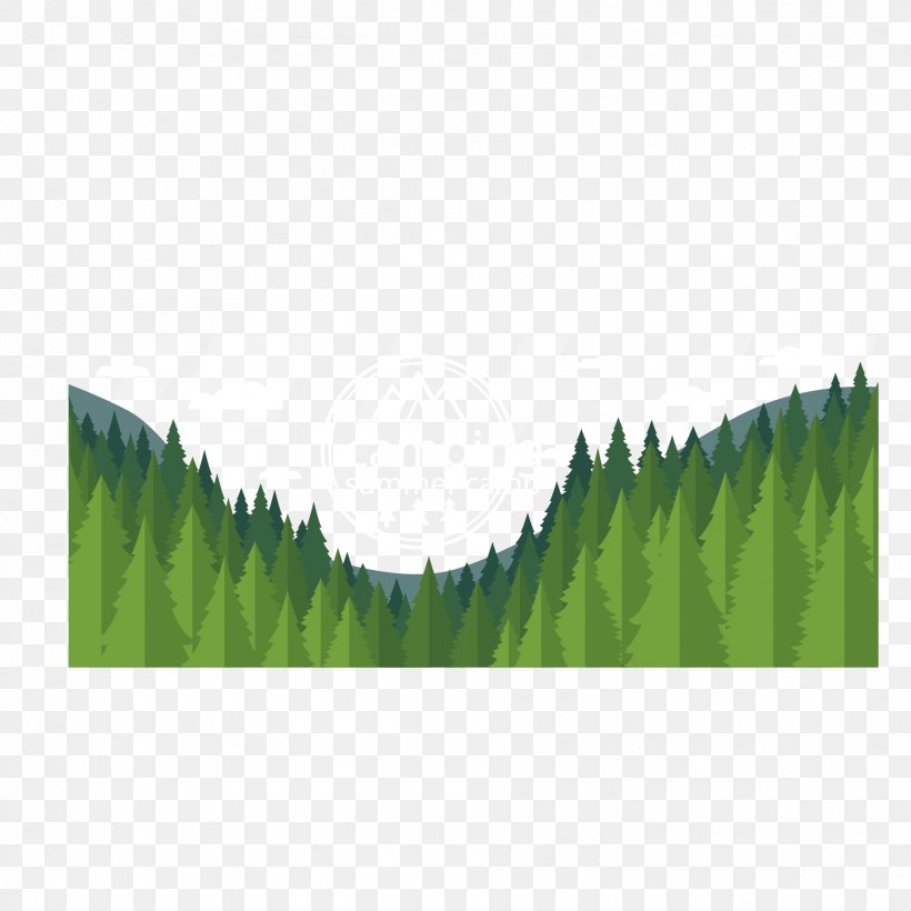Forest Euclidean Vector Green, PNG, 1875x1875px, Forest, Artworks, Border, Grass, Grass Gis Download Free