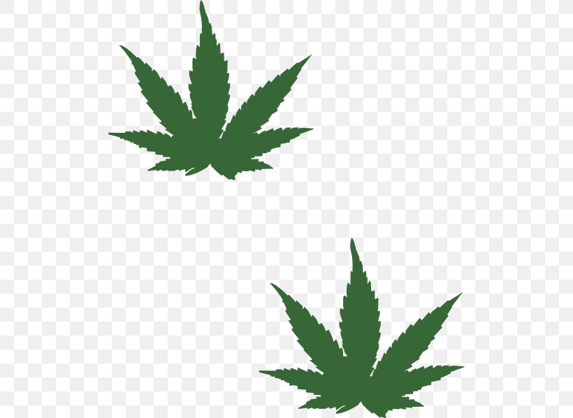 Hash, Marihuana & Hemp Museum Cannabis Leaf Clip Art, PNG, 510x598px, Hash Marihuana Hemp Museum, Cannabis, Drawing, Flowering Plant, Hemp Download Free