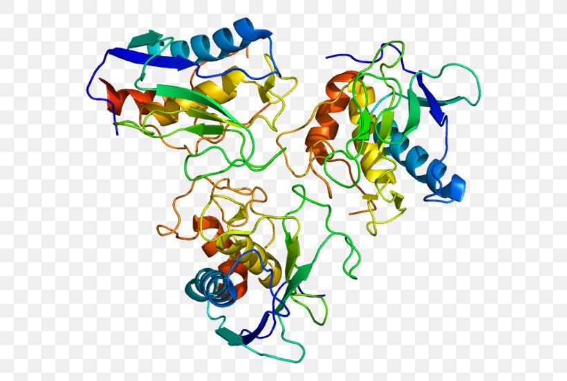 MMP10 Matrix Metalloproteinase MMP7 MMP2 Stromelysin 1, PNG, 622x552px, Watercolor, Cartoon, Flower, Frame, Heart Download Free