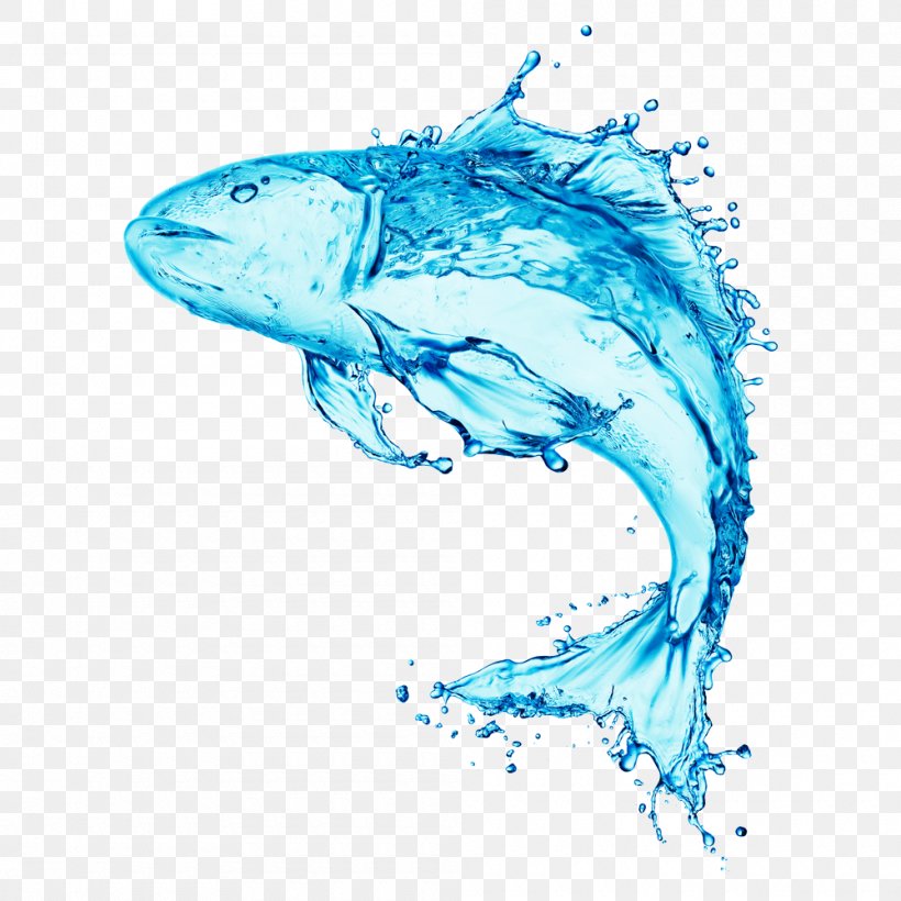 Stock Photography Water Fish, PNG, 1000x1000px, Stock Photography, Aqua, Art, Dolphin, Drawing Download Free