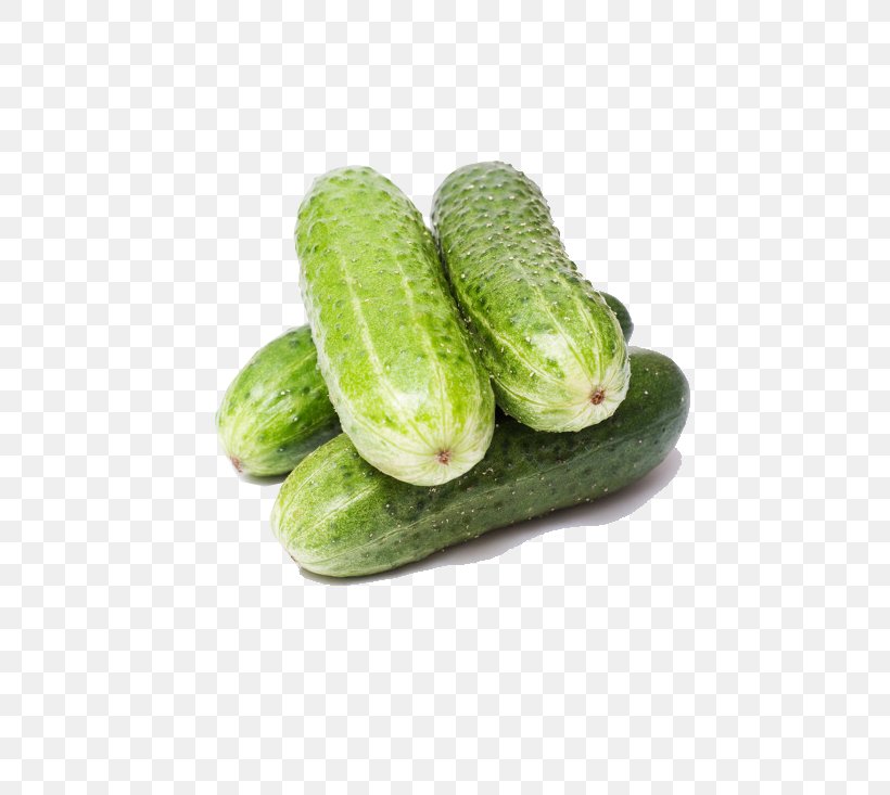 Cucumber Organic Food Vegetable Carrot Tomato, PNG, 752x733px, Cucumber, Armenian Cucumber, Auglis, Carrot, Cucumber Gourd And Melon Family Download Free
