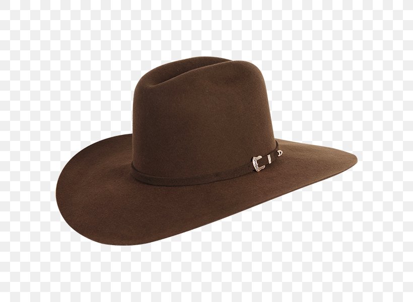 Hat Promotion Fedora Clothing Akubra, PNG, 600x600px, Hat, Akubra, Brown, Clothing, Discounts And Allowances Download Free