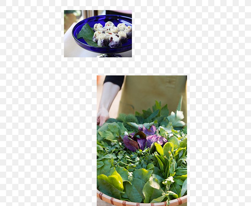 ウコンサロン Leaf Vegetable Herb Salad, PNG, 402x672px, Leaf Vegetable, Cafe, Cuisine, Floral Design, Floristry Download Free