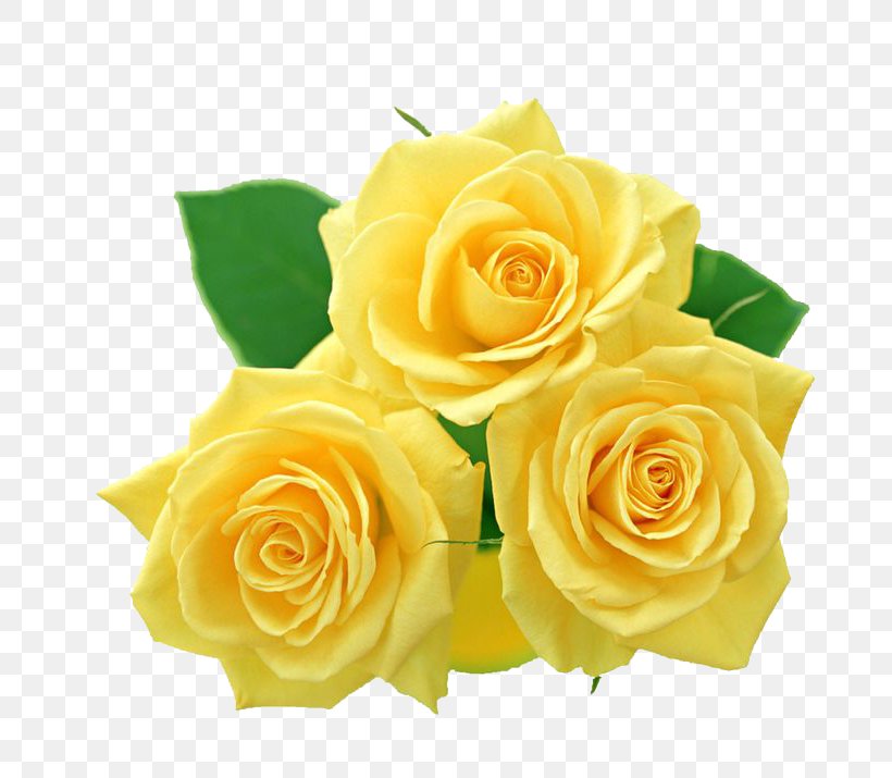 Rose Yellow Clip Art, PNG, 736x715px, Rose, Cut Flowers, Floral Design, Floristry, Flower Download Free