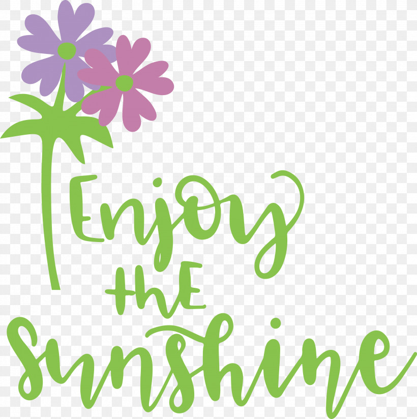 Sunshine Enjoy The Sunshine, PNG, 2984x3000px, Sunshine, Cut Flowers, Floral Design, Flower, Green Download Free