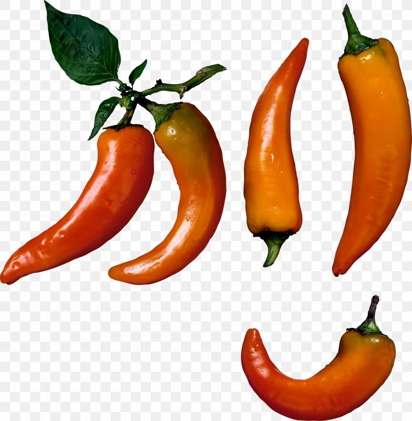 Bell Pepper Nachos Chili Pepper Potato Chip, PNG, 2179x2227px, Bell Pepper, Bell Peppers And Chili Peppers, Bird S Eye Chili, Black Pepper, Capsicum Annuum Download Free