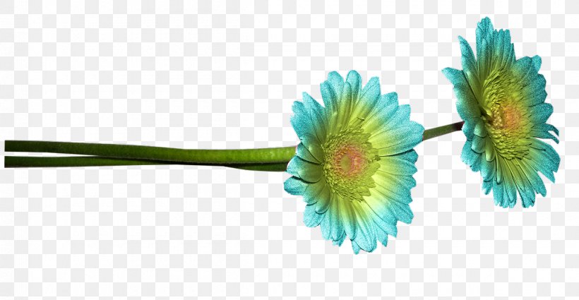 Common Daisy Blue Flower, PNG, 1200x623px, Common Daisy, Blue, Color, Daisy, Daisy Family Download Free