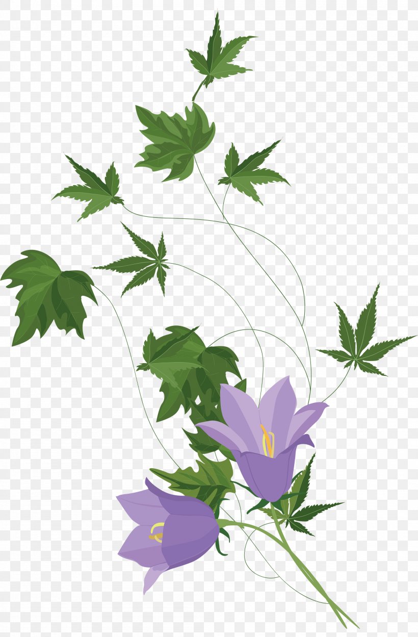 Flower File Format JPEG Plant Stem, PNG, 2100x3200px, Flower, Branch, Flora, Flowering Plant, Flowerpot Download Free
