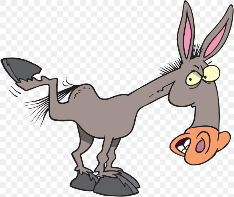 Mule Clip Art Donkey Openclipart Illustration, PNG, 1024x865px, Mule, Beak, Carnivoran, Cartoon, Chicken Download Free