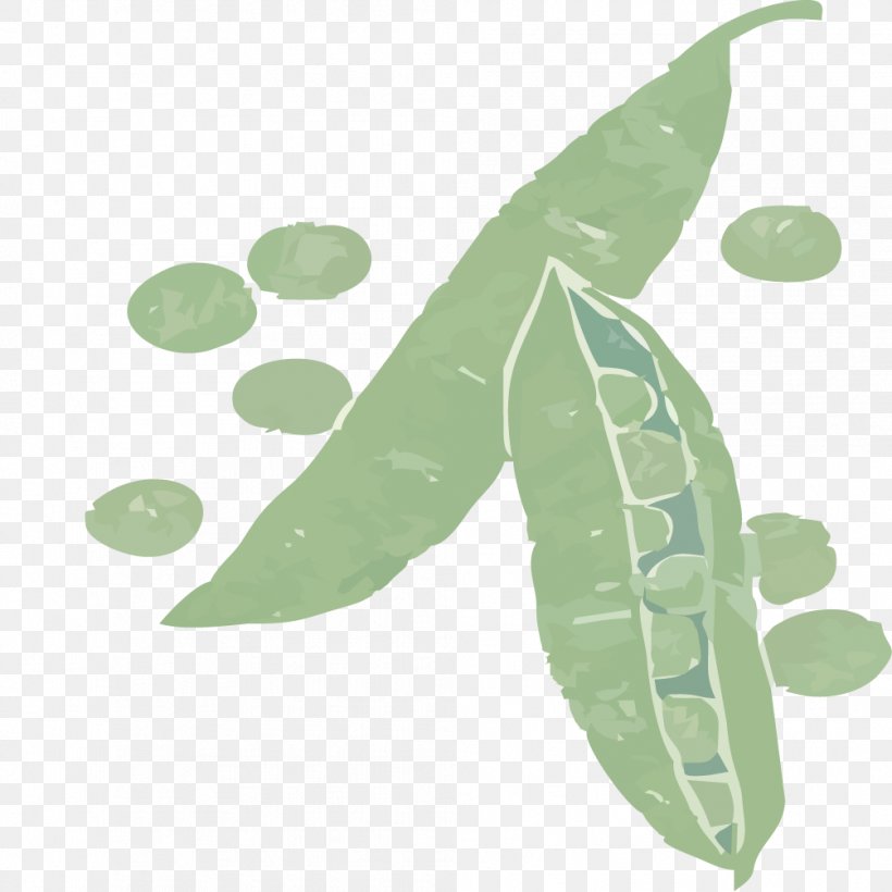 Pea Leaf Icon, PNG, 1004x1004px, Pea, Green, Leaf, Plant, Search Engine Download Free