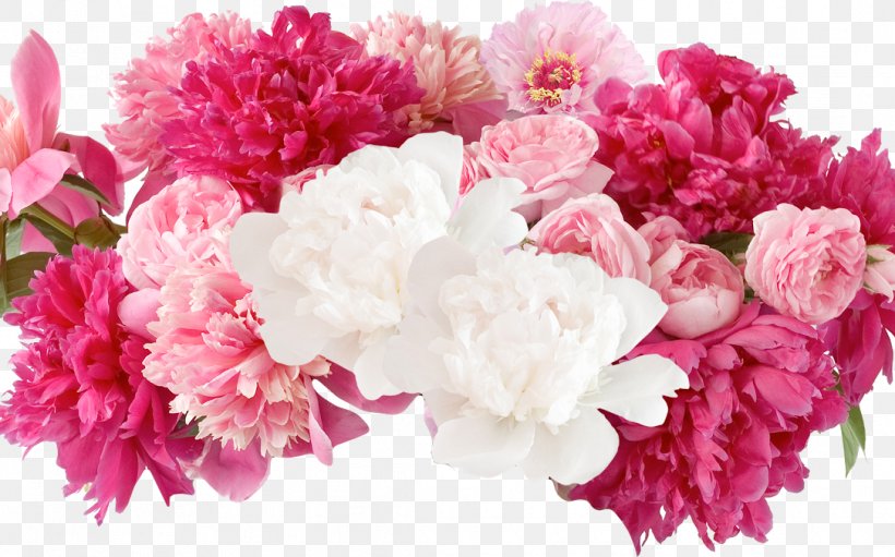 Peony Floral Design Flower Photography, PNG, 1085x677px, Peony, Annual Plant, Artificial Flower, Blossom, Carnation Download Free