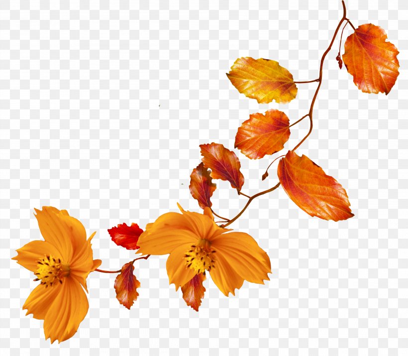 Autumn Flower Clip Art, PNG, 3793x3313px, Autumn, Blog, Branch, Color, Cut Flowers Download Free