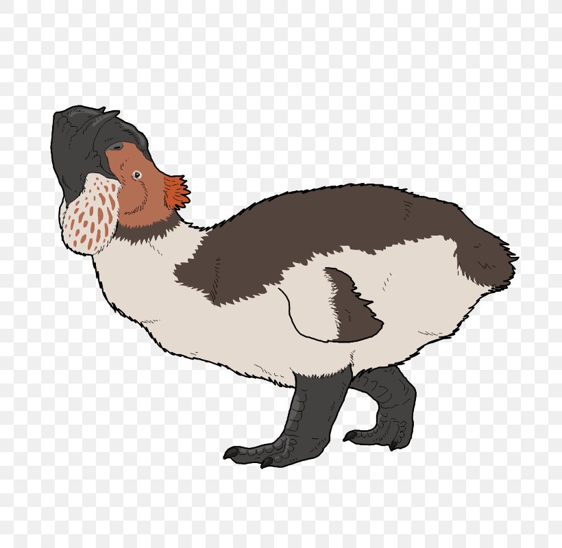 Duck Goose Flightless Bird Anseriformes, PNG, 800x800px, Duck, Anatidae, Animal, Animal Figure, Anseriformes Download Free