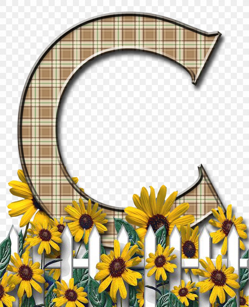 Letter Case Alphabet Flower, PNG, 1200x1480px, Letter, Alphabet, Arch, Cut Flowers, Daisy Download Free