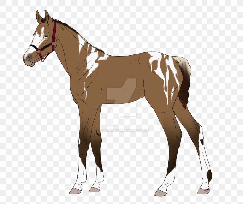 Mule Mare Colt Foal Stallion, PNG, 1280x1071px, 3d Computer Graphics, Mule, Appaloosa, Arabian Horse, Bridle Download Free