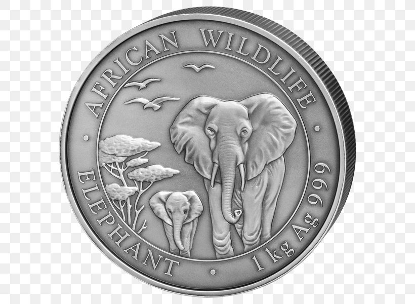 Silver Coin African Elephant Indian Elephant, PNG, 600x600px, Coin, African Elephant, Bullion, Bullion Coin, Currency Download Free