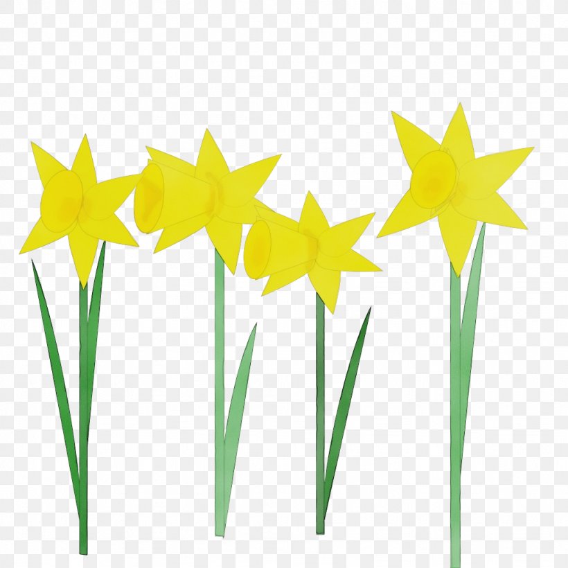 Yellow Clip Art Plant Grass Narcissus, PNG, 1024x1024px, Watercolor, Flower, Grass, Narcissus, Paint Download Free
