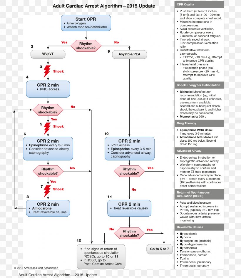 Advanced Cardiac Life Support Cardiopulmonary Resuscitation Pediatric Advanced Life Support American Heart Association, PNG, 2112x2438px, Advanced Cardiac Life Support, Algorithm, American Heart Association, Area, Basic Life Support Download Free