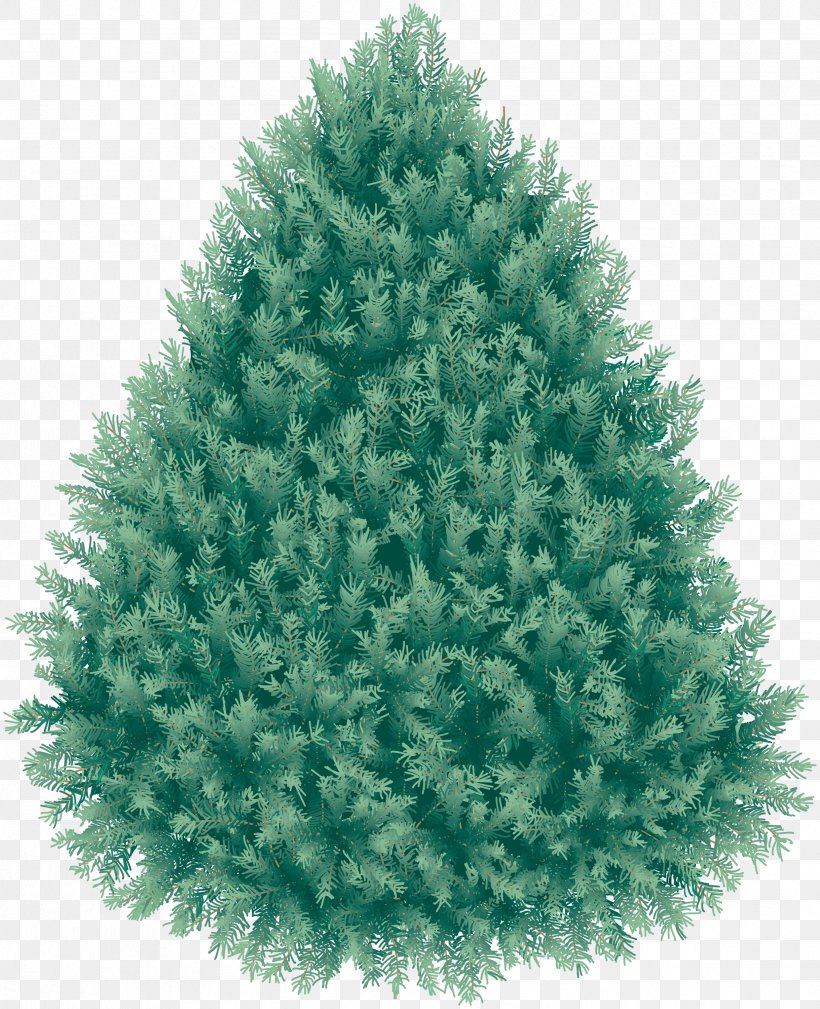 Blue Spruce Clip Art, PNG, 2438x3000px, Christmas, Christmas Decoration, Christmas Ornament, Christmas Tree, Conifer Download Free