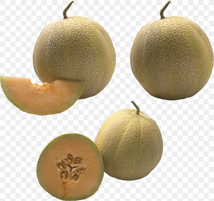 Cantaloupe Food Fruit Honeydew, PNG, 2866x2693px, Cantaloupe, Berry, Citrus, Cucumber, Cucumber Gourd And Melon Family Download Free