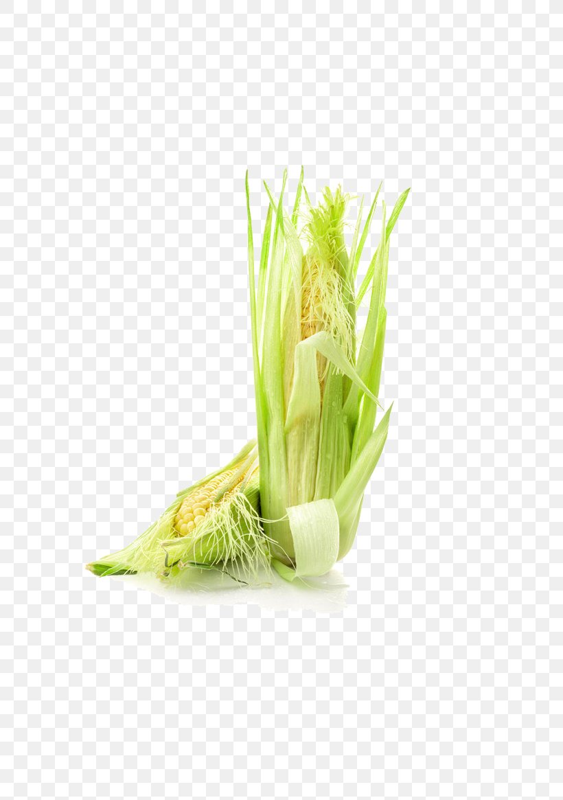 Corn On The Cob Maize Corn Kernel, PNG, 650x1165px, Corn On The Cob, Cereal, Commodity, Corn Kernel, Crop Download Free