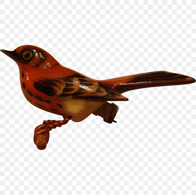 Beak Fauna Feather, PNG, 1608x1608px, Beak, Bird, Fauna, Feather, Wing Download Free
