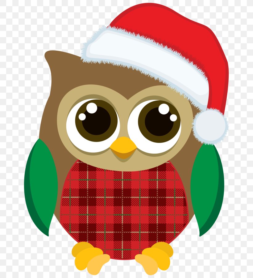 Christmas Graphics Owl Clip Art Christmas Christmas Day, PNG, 678x900px ...