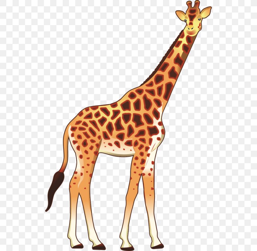 Giraffe Okapi Stock Photography Clip Art, PNG, 800x800px, Giraffe, Animal, Animal Figure, Craft Magnets, Elephant Download Free