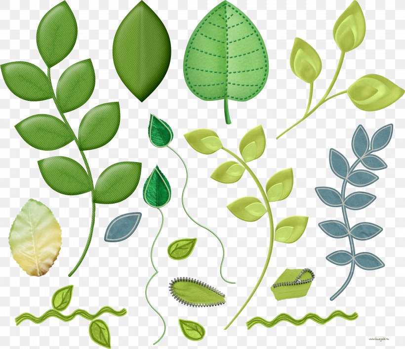Leaf Plant Stem Clip Art, PNG, 4270x3677px, Leaf, Branch, Fruit, Green, Organism Download Free