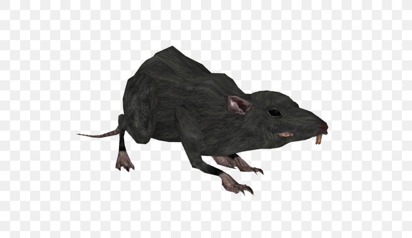 Mouse Terrestrial Animal Snout Wildlife, PNG, 696x474px, Mouse, Animal, Animal Figure, Fauna, Mammal Download Free