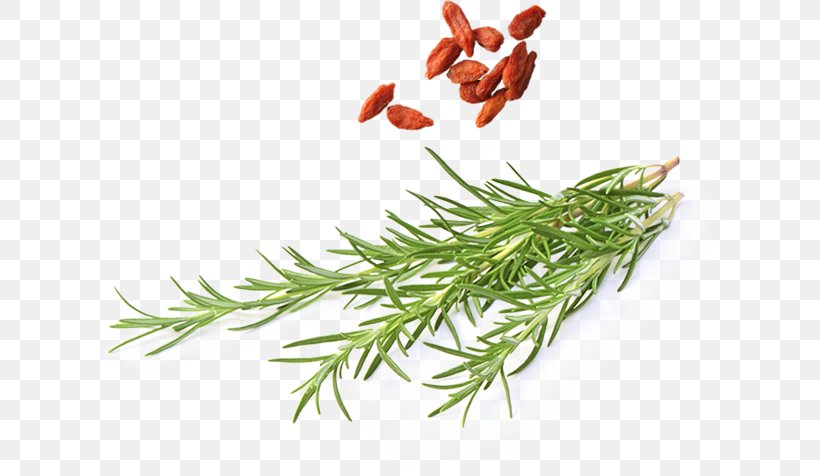 Alcoholic Drink YOMEISHU SEIZO CO., LTD. とっておきのリラックス Rosemary Herb, PNG, 636x476px, 31 January, Alcoholic Drink, Business, Dir, Directory Download Free