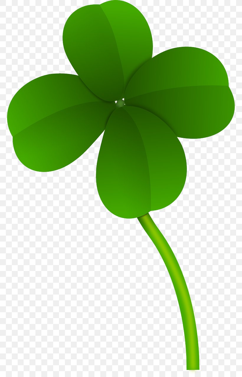 Four-leaf Clover Shamrock Clip Art, PNG, 772x1280px, Fourleaf Clover, Clover, Flora, Flower, Flowering Plant Download Free