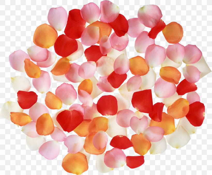 Gummy Candy Taffy Pink M Petal, PNG, 1300x1076px, Gummy Candy, Petal, Pink M, Taffy Download Free