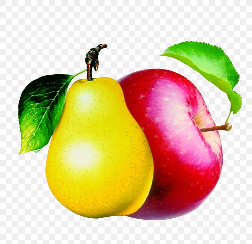 Pear Pome Apple Clip Art, PNG, 1024x992px, Pear, Accessory Fruit, Apple, Aroma, Auglis Download Free