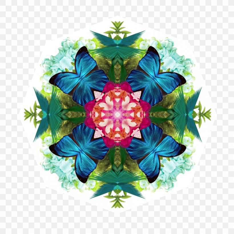 Petal Kaleidoscope Symmetry Pattern, PNG, 900x900px, Petal, Flower, Kaleidoscope, Leaf, Organism Download Free