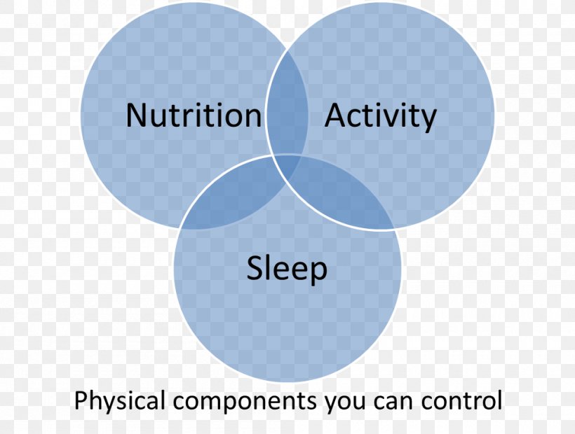 Physical Fitness Nutrition Health Exercise Dimension, PNG, 1000x757px, Physical Fitness, Brand, Communication, Diagram, Dimension Download Free