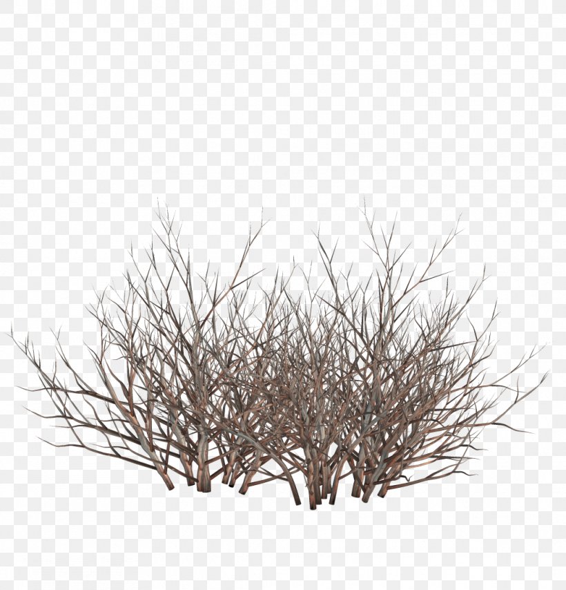 Twig Download Clip Art, PNG, 1036x1079px, Twig, Black And White, Branch, Depositfiles, Document Download Free