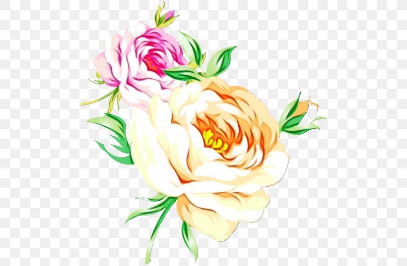 Garden Roses Cabbage Rose Floral Design Cut Flowers, PNG, 500x537px, Garden Roses, Botany, Bouquet, Cabbage Rose, Chinese Peony Download Free