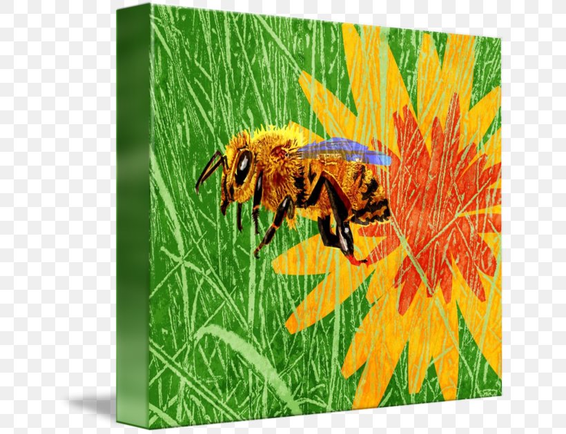 Honey Bee Printed T-shirt Spreadshirt, PNG, 650x629px, Honey Bee, Arthropod, Bee, Beekeeper, Color Download Free