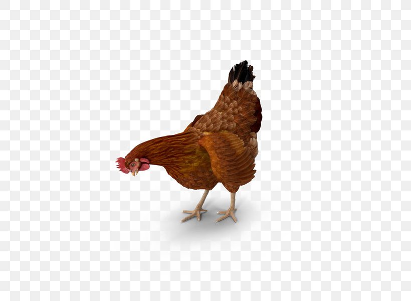 Rooster Leghorn Chicken Image Transparency, PNG, 600x600px, 3d Computer Graphics, Rooster, Agriculture, Animal, Arts Download Free