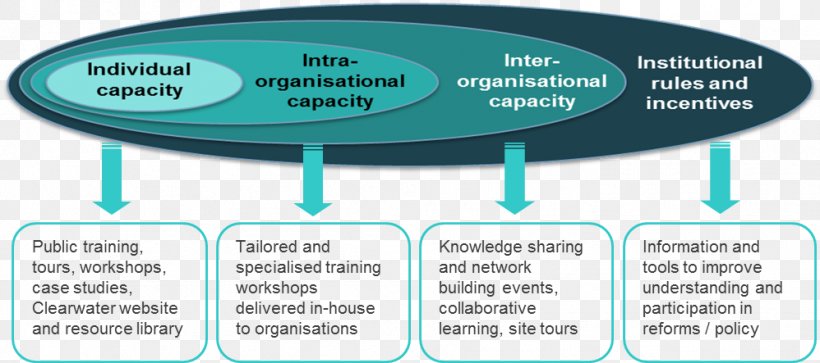 Capacity Building Organization Definition Individual, PNG, 998x443px, Capacity Building, Area, Brand, Building, Communication Download Free
