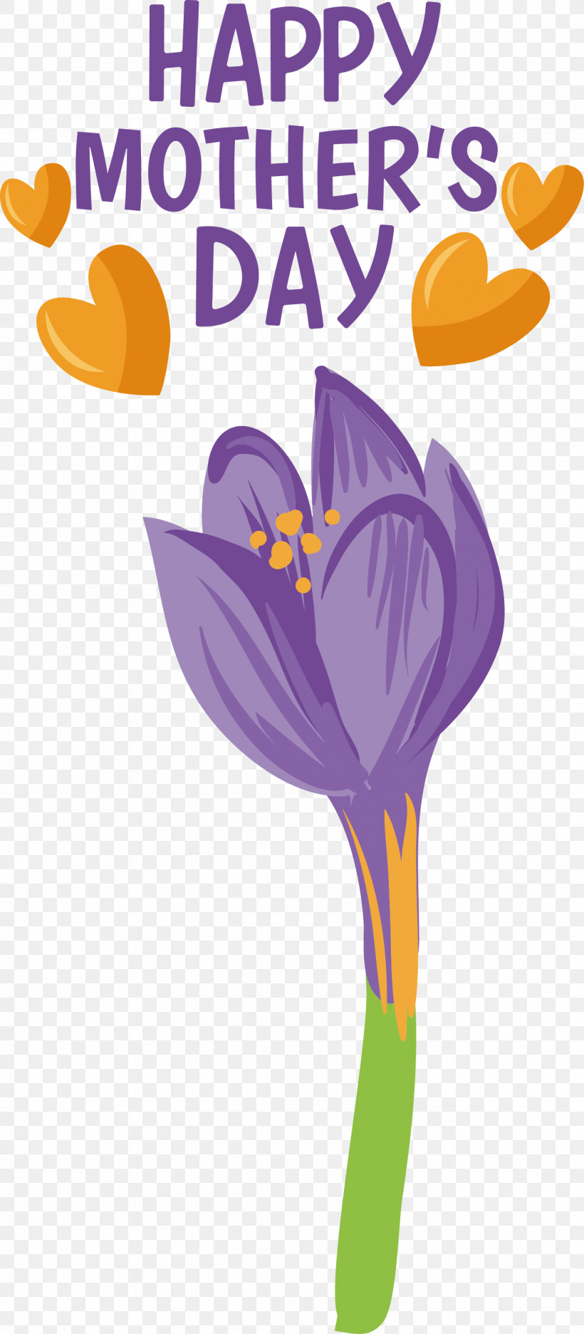 Flower Text Petal Lilac Plant, PNG, 1367x3121px, Flower, Biology, Lilac, Petal, Plant Download Free