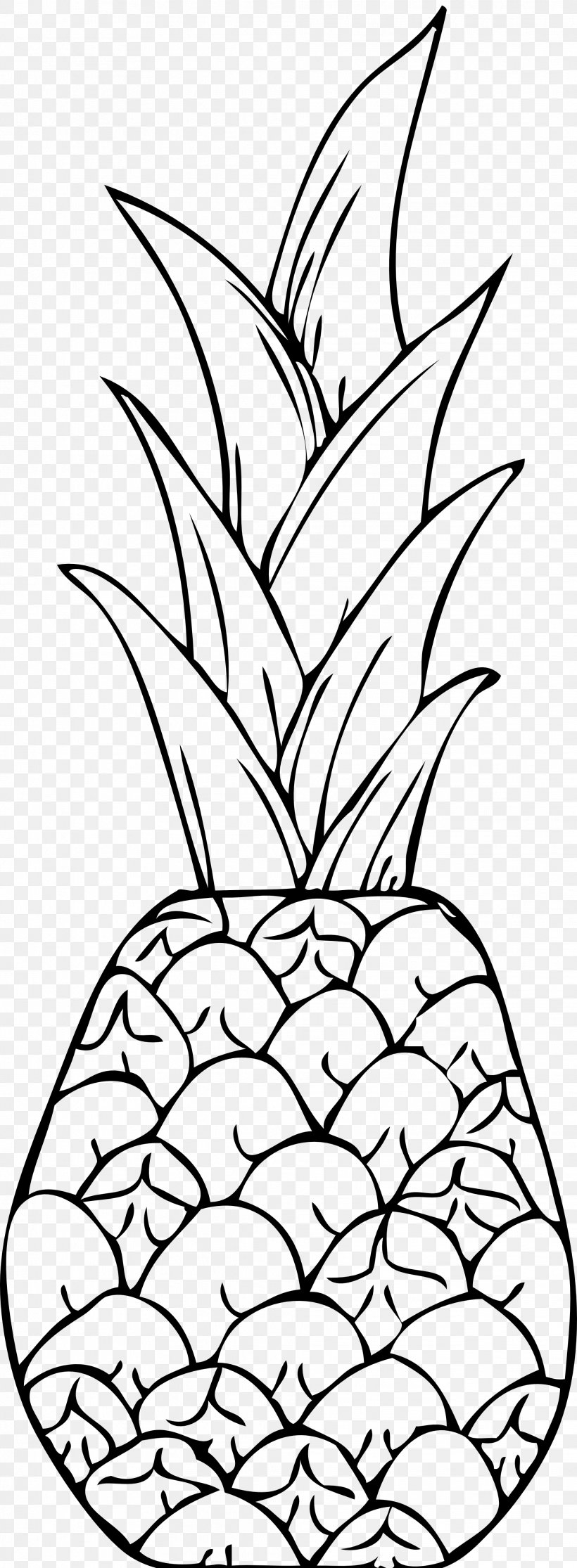 Pineapple Drawing Clip Art, PNG, 1979x5383px, Pineapple, Artwork, Black And White, Branch, Drawing Download Free