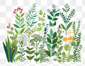 Various Plants - Various Green Plants And Flowers PNG