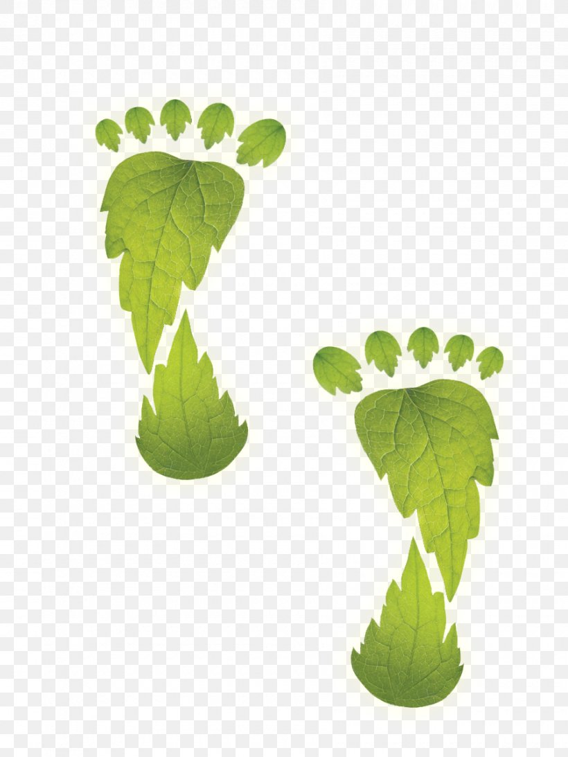 Environmentally Friendly Ecological Footprint Energy Conservation Carbon Footprint, PNG, 900x1200px, Environmentally Friendly, Carbon Footprint, Clog, Ecological Footprint, Energy Download Free